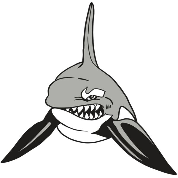 AR19 ORCA 03 RQC Thumbnail